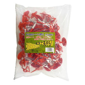 12/5()IIm1/2Iő100pobN(EvGg[)VZC@POMV[g@15cm@50{