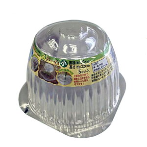 12/5()IIm1/2Iő100pobN(EvGg[)ch[@5Zbg@a30cm@22cm hAhAۉo!!