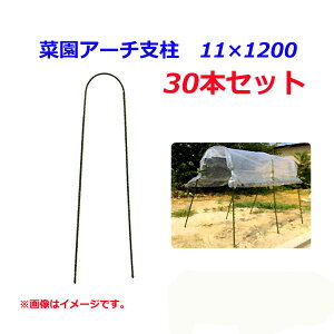 y@llzElzszyEzszyԎwsz@VZC@؉A[`x@11×1200@30{Zbg