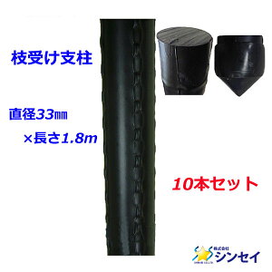 12/5()IIm1/2Iő100pobN(EvGg[)y@llzElzszyEzszyԎwszVZC@}󂯎x@a33mm×1.8m@10