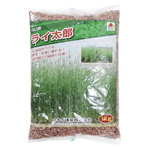 種 種 ライ麦 種の人気商品 通販 価格比較 価格 Com