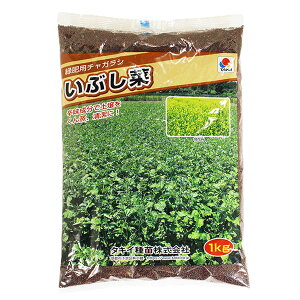 12/5()IIm1/2Iő100pobN(EvGg[)ΔEiϗp@炵ȁE`KV@Ԃ؁@1kg@hœyA