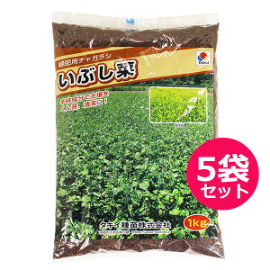 12/5()IIm1/2Iő100pobN(EvGg[)ΔEiϗp@炵ȁE`KV@Ԃ؁@1kg×5܃Zbg@hœyA