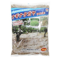 ナギナタガヤ(日本在来)　種　1kg　草生栽培用作物(秋まき)　雑草の抑制に!!