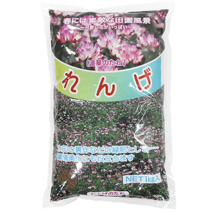 楽天市場 れんげの種 花の種 種子 レンゲ草 レンゲの種 花の種 1ｋｇ 景観用緑肥 ファームトップ 楽天市場店