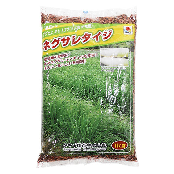 エン麦（緑肥用） タキイ ネグサレタイジ 種 1ｋｇ×10袋セット 初期生育旺盛! 害虫の密度抑制に!