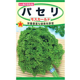 トーホク　野菜の種/種子　パセリ　種　（追跡可能メール便発送　全国一律370円）02060