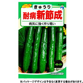 ウタネ　野菜の種/種子　きゅうり　耐病新節成胡瓜　種　（追跡可能メール便発送　全国一律370円）37612