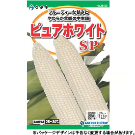 ウタネ　野菜の種/種子　とうもろこし　ピュアホワイトSP　内容量7ml　種　（追跡可能メール便発送　全国一律370円）38109　フルーティな甘みと柔らかな食感