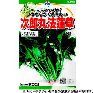 E^l@؂̎/q@ق񑐁@Yۖ@@@e45ml@ iǐՉ\[֔@Sꗥ370~j37216