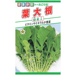 g[zN@؂̎/q@@卪@t卪@e10ml@@iǐՉ\[֔@Sꗥ370~j05590