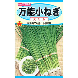 トーホク　野菜の種/種子　ねぎ　万能小ねぎ　種　（追跡可能メール便発送　全国一律370円）02378