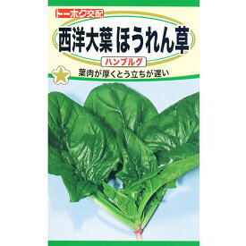 トーホク　野菜の種/種子　西洋大葉ほうれん草　ハンブルグ　内容量25ml　種 （追跡可能メール便発送　全国一律370円）04761　葉肉が厚くとう立ちが遅い