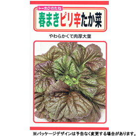 トーホク　野菜の種/種子　高菜　春まきピり辛たか菜　内容量10ml　種　（追跡可能メール便発送　全国一律370円）05449　やわらかくて肉厚大葉