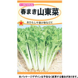 トーホク　野菜の種/種子　春まき山東菜　種　（追跡可能メール便発送　全国一律370円）01296