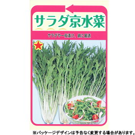 トーホク　野菜の種/種子　サラダ京水菜　種 （追跡可能メール便発送　全国一律370円）01065