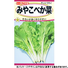 トーホク　野菜の種/種子　山東菜　みやこべか菜　種　（追跡可能メール便発送　全国一律370円）04995