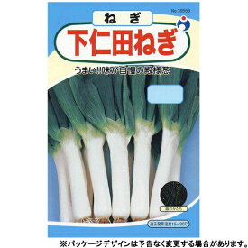 ウタネ　野菜の種/種子　ねぎ　下仁田　種　（追跡可能メール便発送　全国一律370円）16558