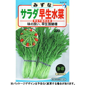 ウタネ　野菜の種/種子　みずな　サラダ早生水菜　種　（追跡可能メール便発送　全国一律370円）06125