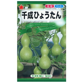 トーホク　野菜の種/種子　千成ひょうたん　種　（追跡可能メール便発送　全国一律370円）00575