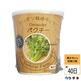 楽天市場 パクチー 栽培 キットの通販