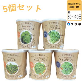 楽天市場 アイスプラント 栽培セットの通販