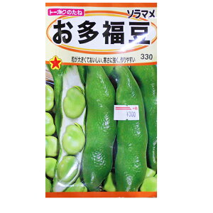 g[zN@؂̎/q@\}@@e45ml@ iǐՉ\[֔@Sꗥ370~j06321