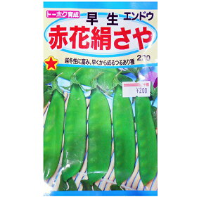 g[zN@؂̎/q@GhE@ԉԌ@e30ml@ iǐՉ\[֔@Sꗥ370~j06391