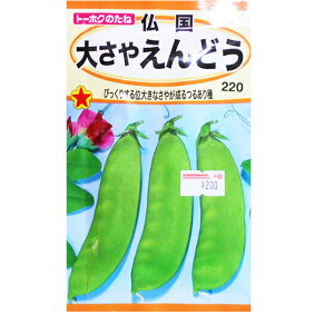 g[zN@؂̎/q@GhE@傳₦ǂ@e30ml@ iǐՉ\[֔@Sꗥ370~j01269