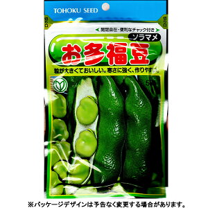 g[zN@؂̎/q@\}@@e100ml@ iǐՉ\[֔@Sꗥ370~j76325