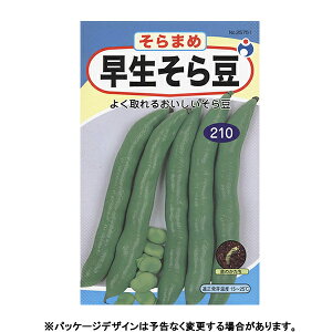 E^l@؂̎/q@܂߁@瓤@e30ml@ iǐՉ\[֔@Sꗥ370~j25751