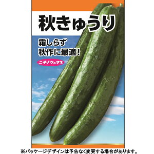 {_Y@؂̎/q@Hイ@ iǐՉ\[֑Sꗥ370~j24980