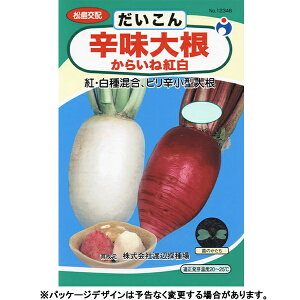 E^l@؂̎/q@卪@h卪@e3ml@@iǐՉ\[֔@Sꗥ370~j12346