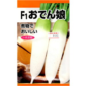 {_Y@؂̎/q@@卪@F1ł񖺁@ iǐՉ\[֑Sꗥ370~j24040