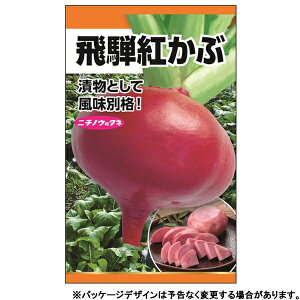 {_Y@؂̎/q@ԁ@ˍgԁ@e10ml@1630@ iǐՉ\[֔@Sꗥ370~j25820