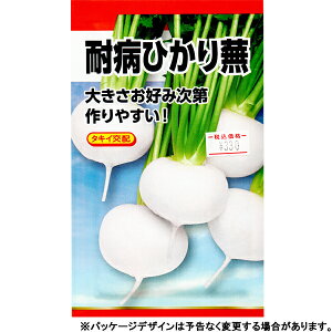 {_Y@؂̎/q@ԁ@ϕaЂ蕓@e1.5ml@470@ iǐՉ\[֔@Sꗥ370~j18620