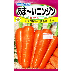 g[zN@؂̎/q@lQ@܁[ɂ񂶂@g@e4ml@ iǐՉ\[֔@Sꗥ370~j02566