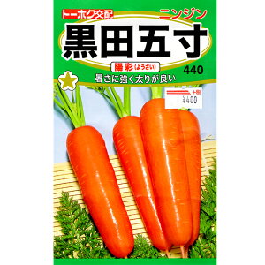 g[zN@؂̎/q@ɂ񂶂@jW@cܐ@zʁ@e7ml@ iǐՉ\[֔@Sꗥ370~j02561