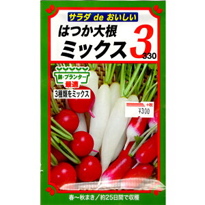 g[zN@؂̎/q@@卪@͂卪~bNX3@e12ml@iǐՉ\[֔@Sꗥ370~j06240