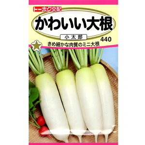 g[zN@؂̎/q@@卪@킢卪@Y@e3ml@iǐՉ\[֔@Sꗥ370~j04571