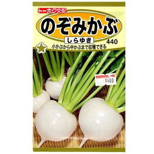 g[zN@؂̎/q@ԁ@݂̂ԁ@䂫@e3ml@iǐՉ\[֔@Sꗥ370~j04871