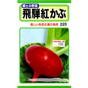 g[zN@؂̎/q@ԁ@ˍgԁ@e6ml@iǐՉ\[֔@Sꗥ370~j06167