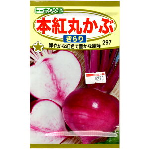 g[zN@؂̎/q@ԁ@{gۂԁ@@e2.3ml@iǐՉ\[֔@Sꗥ370~j06137