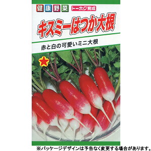 g[zN@؂̎/q@@卪@LX~[͂卪@e8ml@iǐՉ\[֔@Sꗥ370~j01859