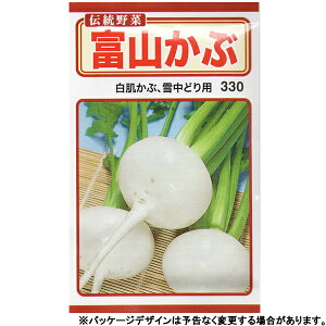 g[zN@؂̎/q@ԁ@xRԁ@e10ml@@iǐՉ\[֔@Sꗥ370~j06225