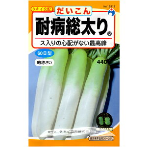 E^l@؂̎/q@卪@@ϕa@e8ml@ iǐՉ\[֔@Sꗥ370~j12318