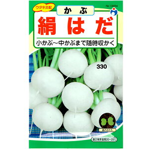 E^l@؂̎/q@ԁ@͂@e4ml@iǐՉ\[֔@Sꗥ370~j13454