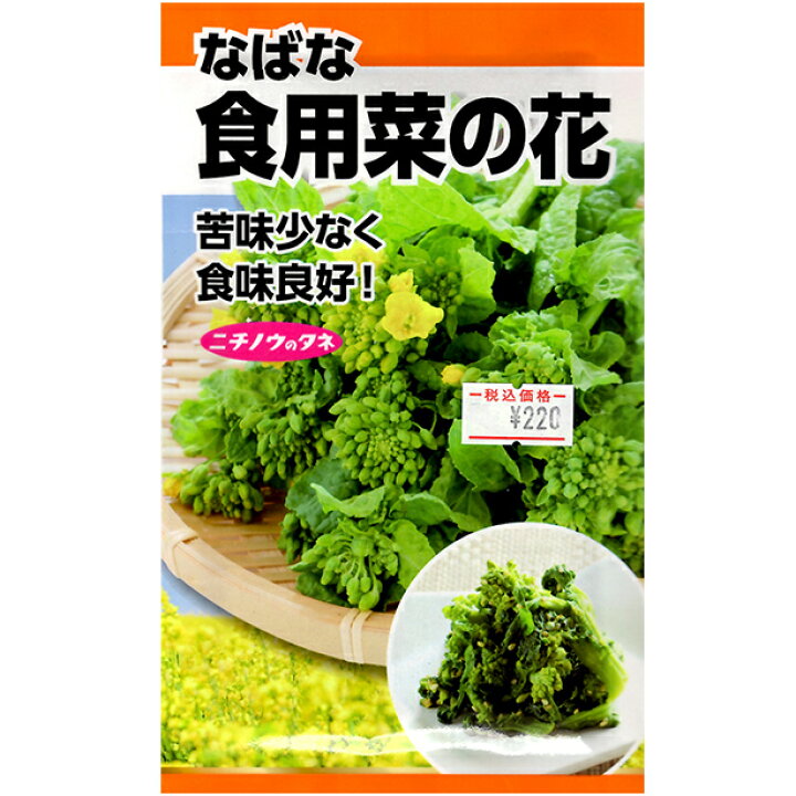楽天市場 日本農産 野菜の種 種子 菜の花 食用菜の花 種 追跡可能メール便全国送料一律370円 ファームトップ 楽天市場店