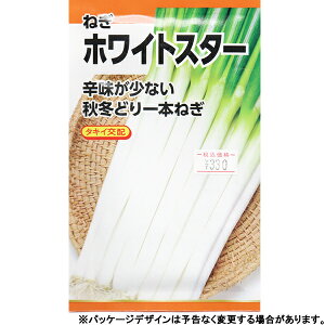 {_Y@؂̎/q@˂@zCgX^[@e2ml@380@ iǐՉ\[֔@Sꗥ370~j26250