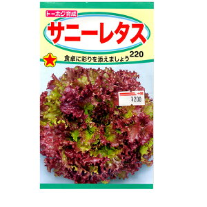 g[zN@؂̎/q@Tj[^X@e3ml@ iǐՉ\[֔@Sꗥ370~j03479